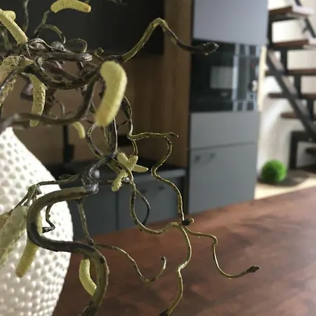 Apartment Goodmood *